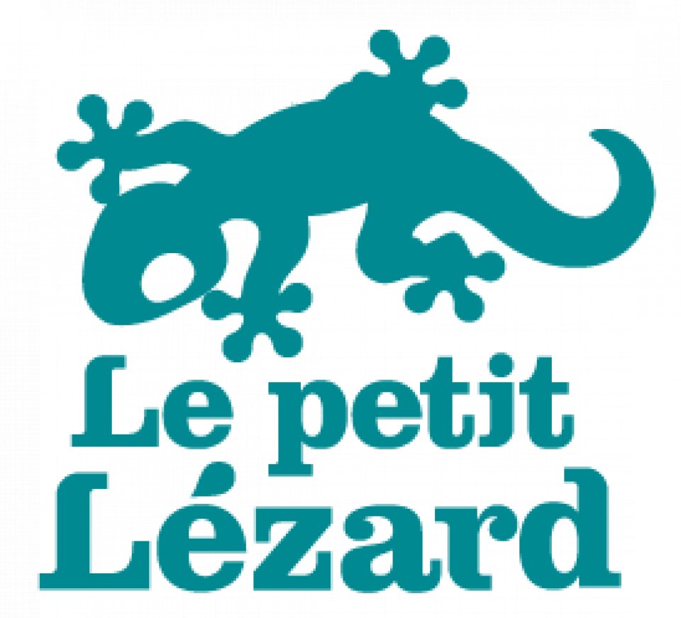 Le Petit Lézard