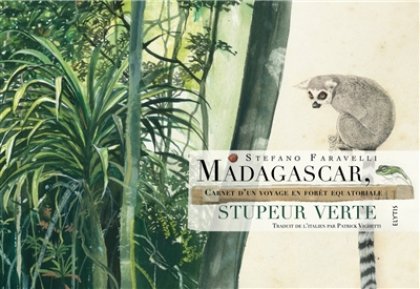 Madagascar, stupeur verte 