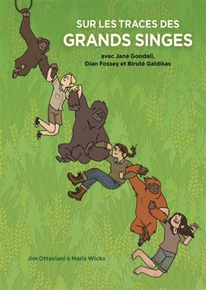 Sur les traces des grands singes 