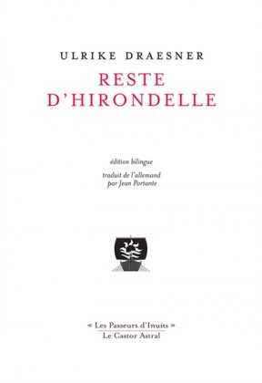 Reste d'hirondelle 