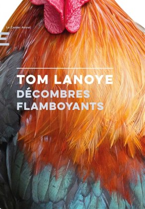 Décombres flamboyants