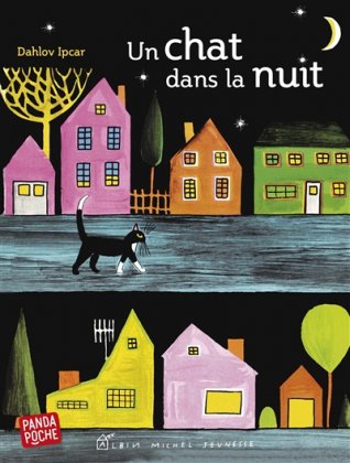 Un chat dans la nuit [poche]