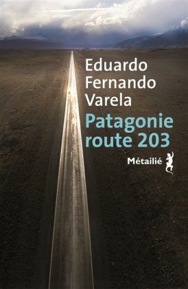 Patagonie route 203 