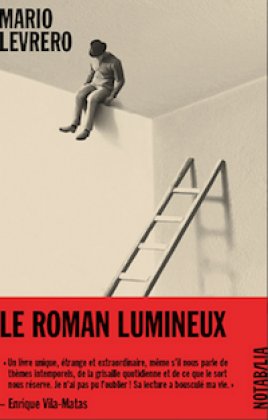 Le Roman lumineux