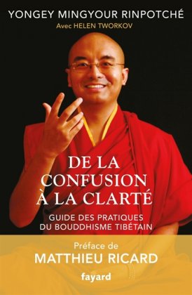 De la confusion à la clarté. Guide des pratiques du bouddhisme tibétain 