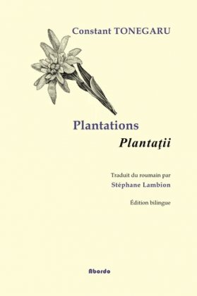 Plantations / Plantatii 