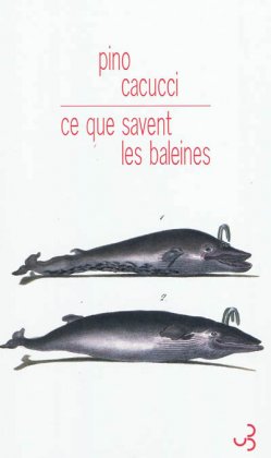 Ce que savent les baleines 